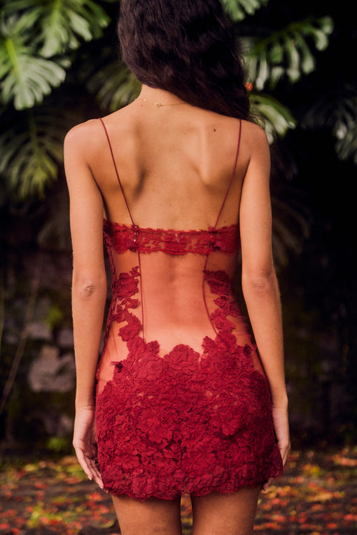 Anemone Mini Dress in Sangre