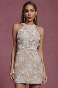 Plume Halter Sleeveless Lace Mini Dress