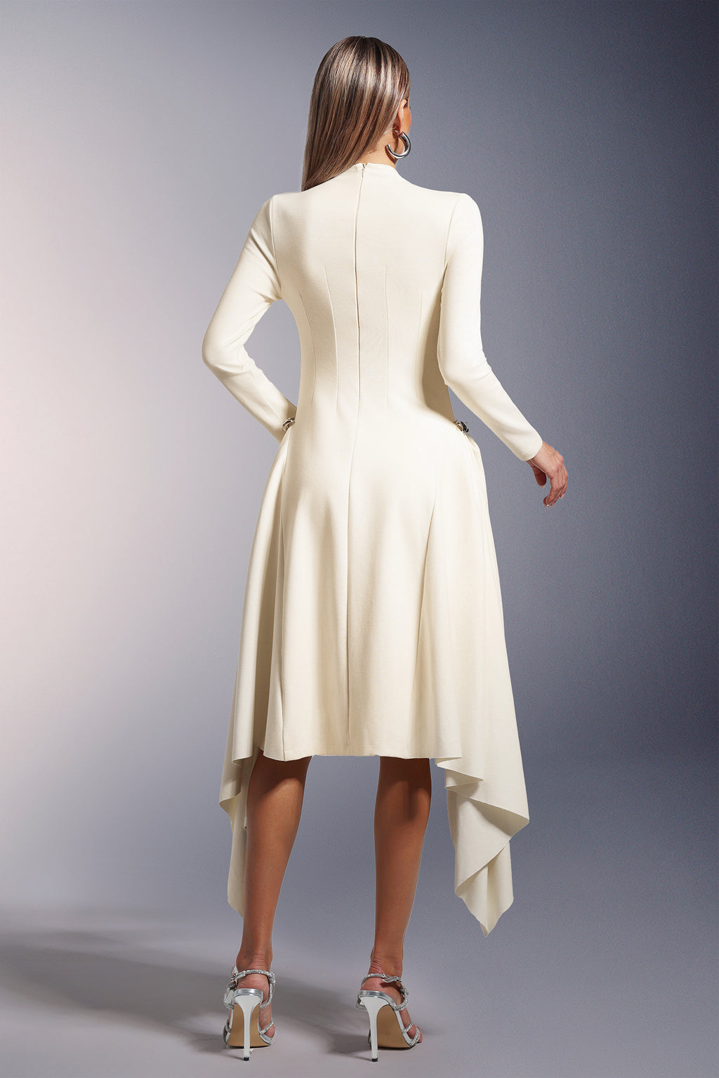 Sylvia Long Sleeves  Midi Dress