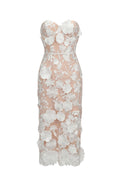 Oval Lace Tube Midi Dress
