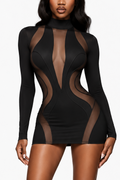 Sienna Sculpt Mesh Long Sleeve Mini Dress