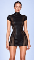 Dark Temptation Sheer Mesh Mini Dress