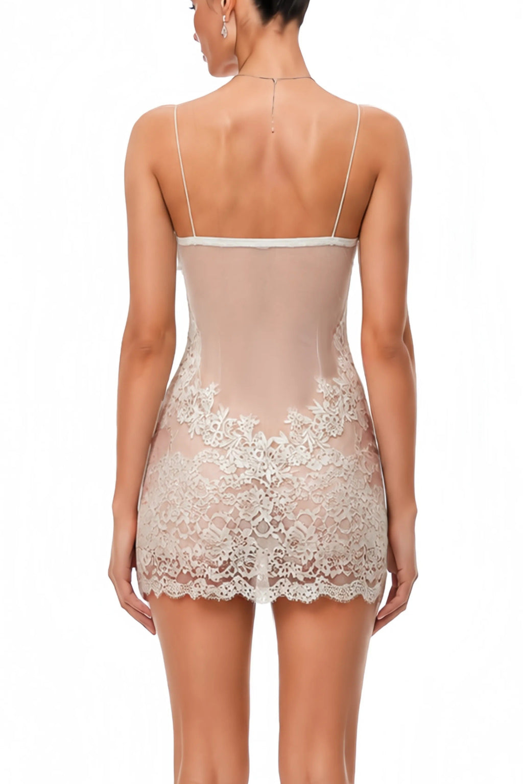 Florence Semi-Sheer  Lace Mini Dress