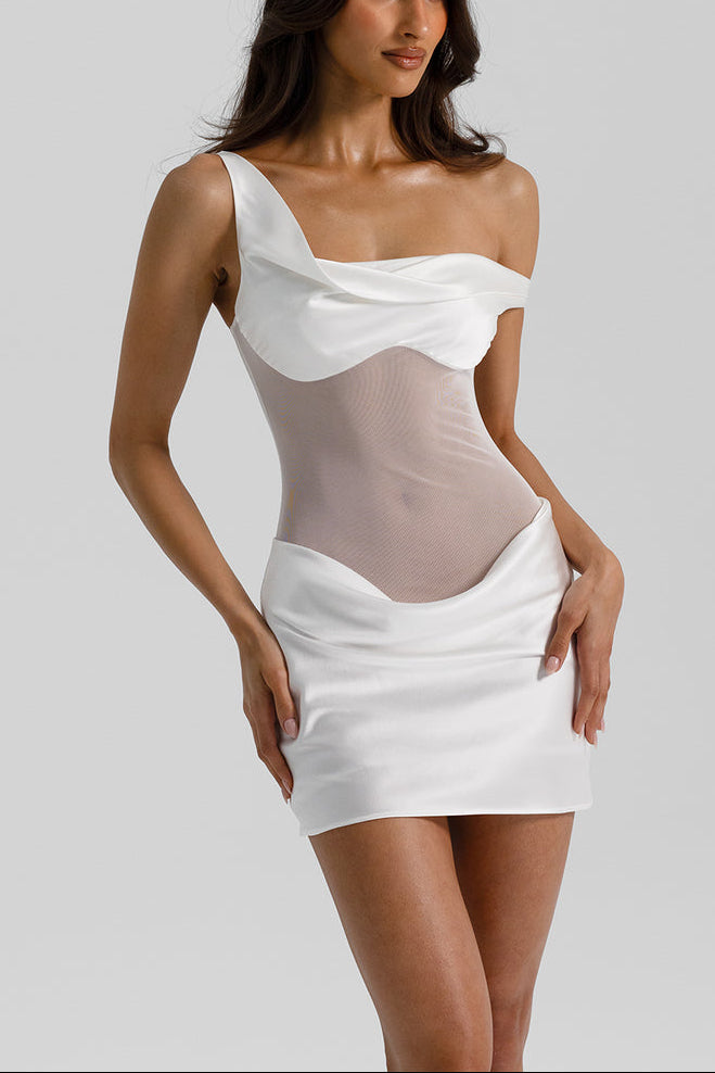 Elodie  Mesh Mini Dress
